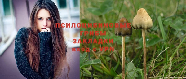 мет Заводоуковск