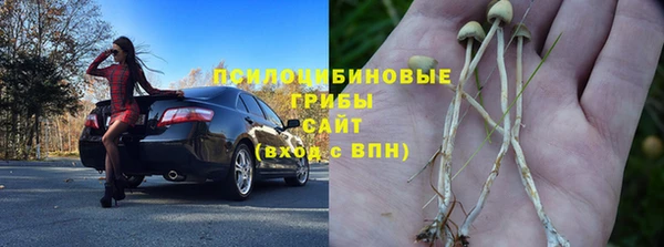МДМА Заволжск
