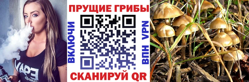 Галлюциногенные грибы GOLDEN TEACHER  Купить где  Биробиджан 